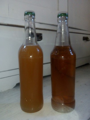 image img-20170615-204200.jpeg