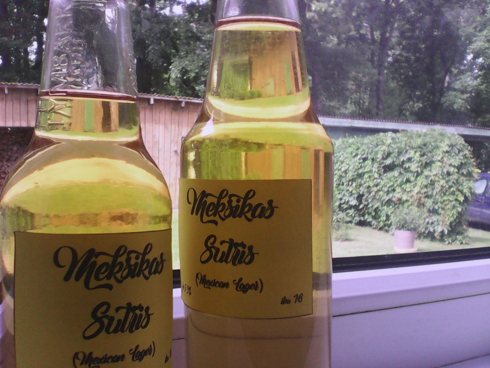 image img-20170710-114546.jpeg