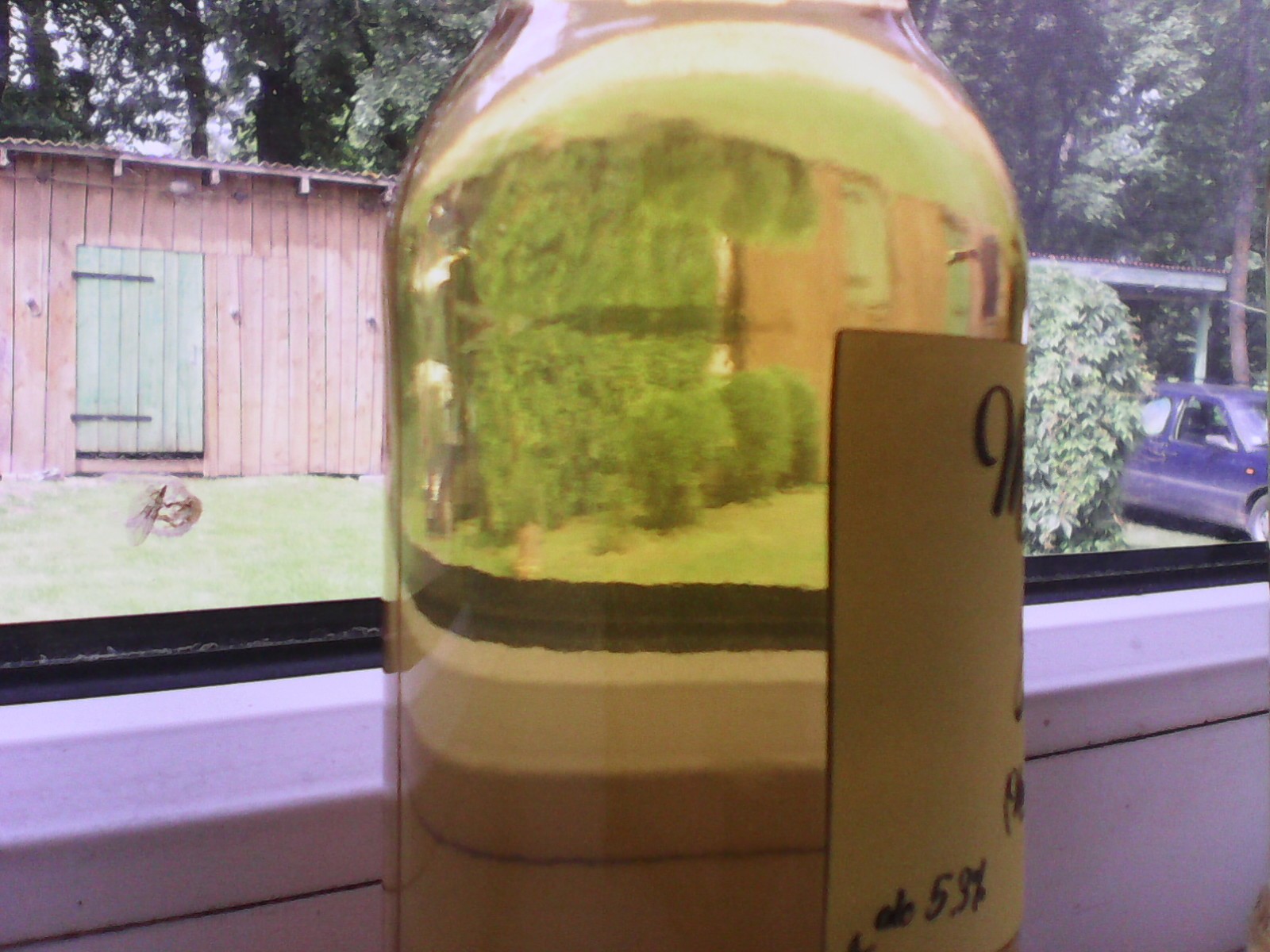 image img-20170710-114612.jpeg