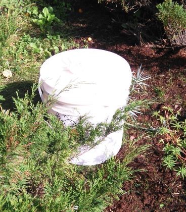 image img-20170916-wa0004.jpeg