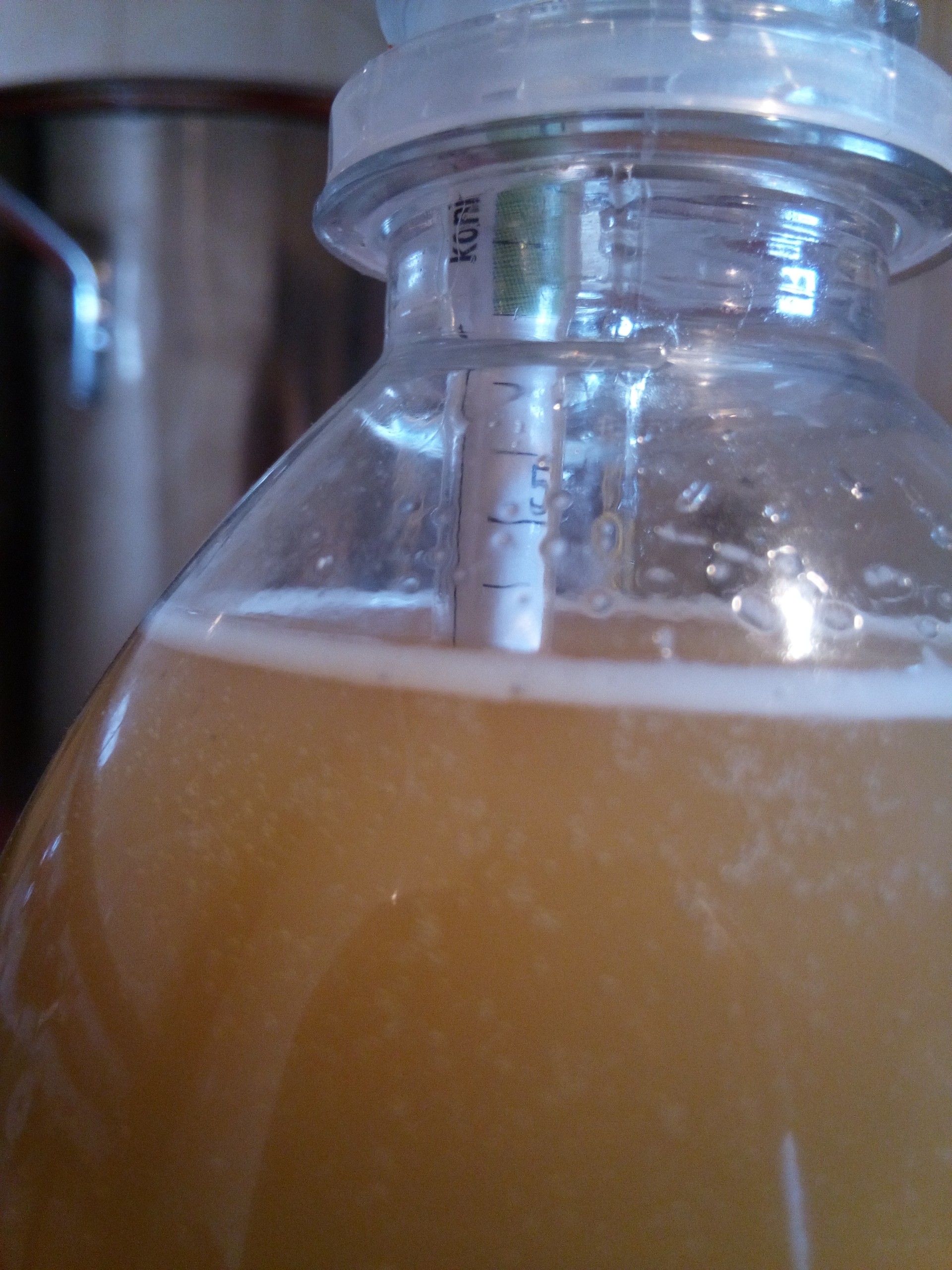 image img-20180504-100355.jpeg