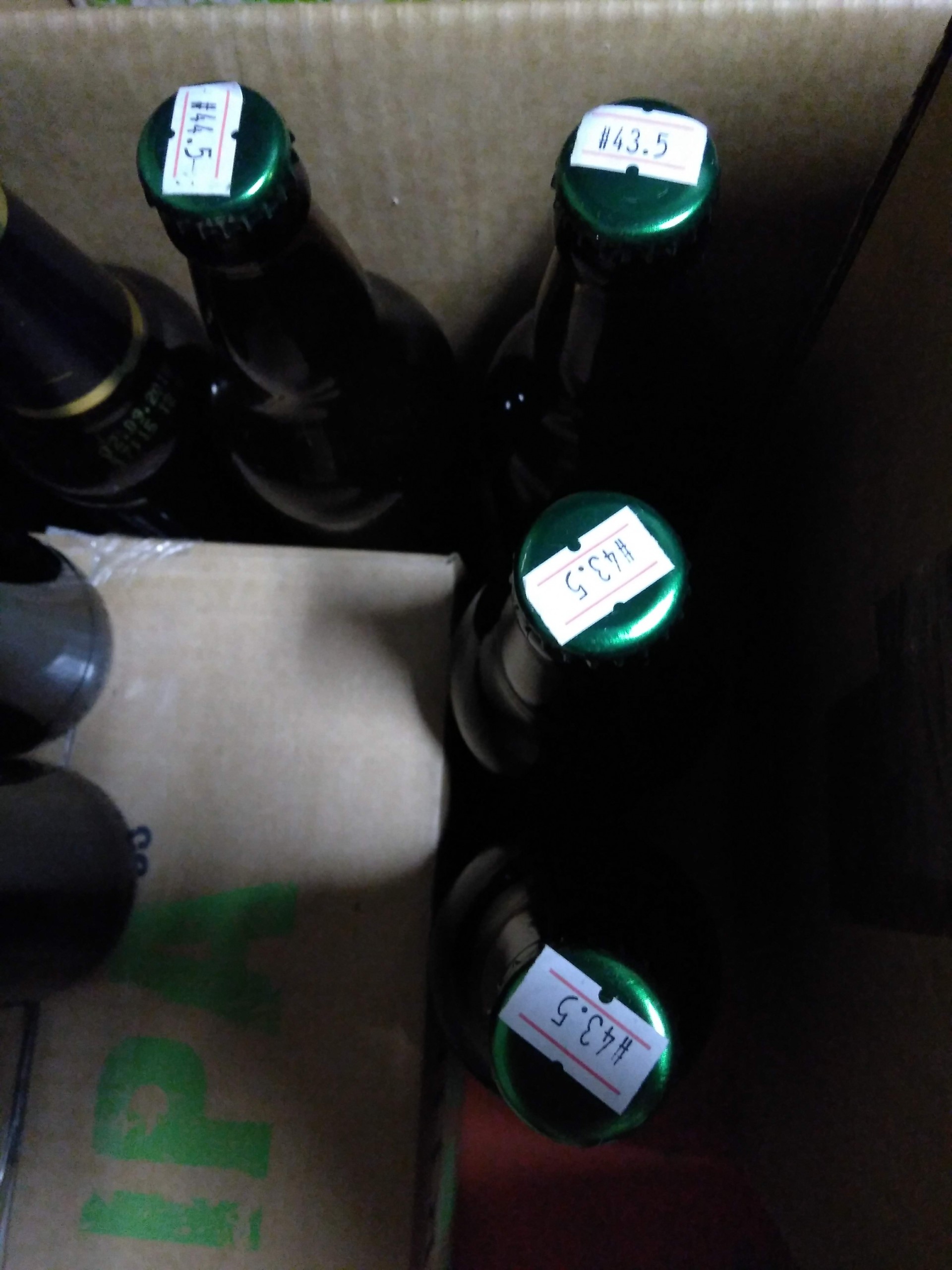 image img-20180713-124148.jpeg