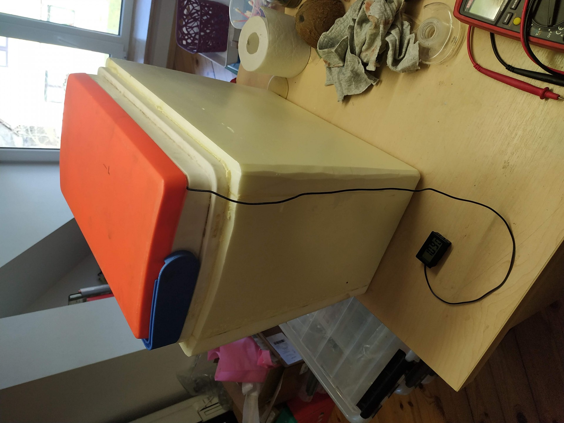 image img-20200331-163734.jpeg