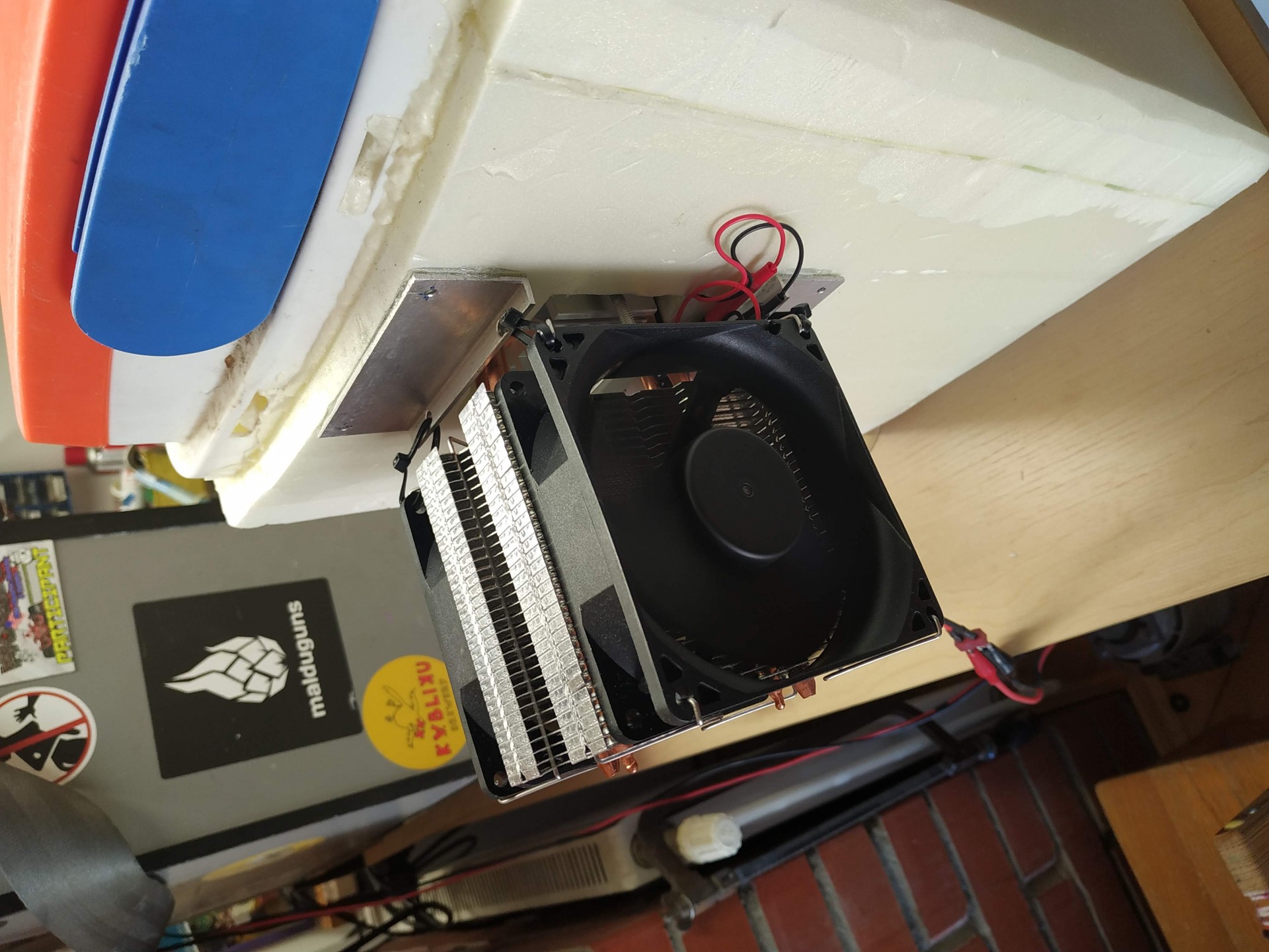 image img-20200331-163753.jpeg