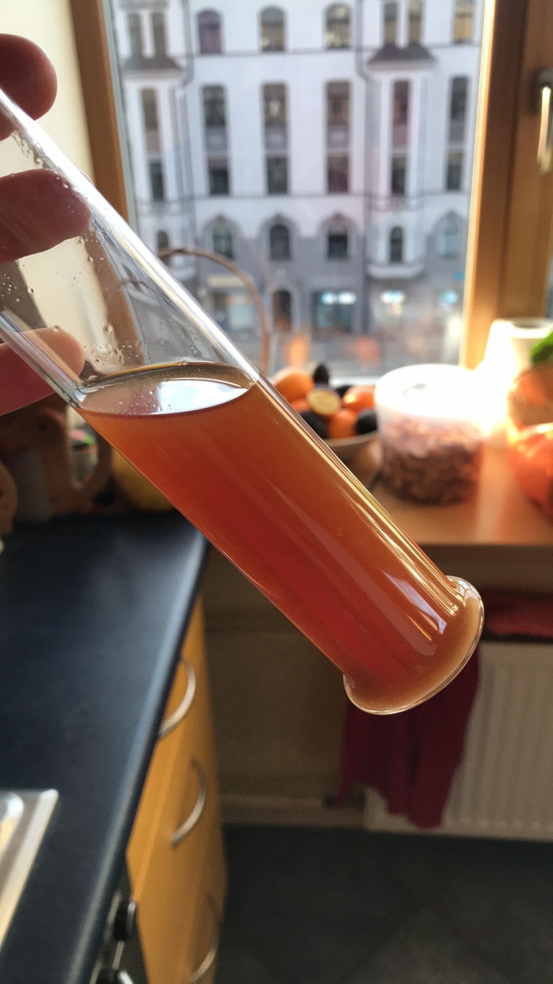 image 6c908b4d-efeb-481c-8ece-c569e71c29c3.jpeg