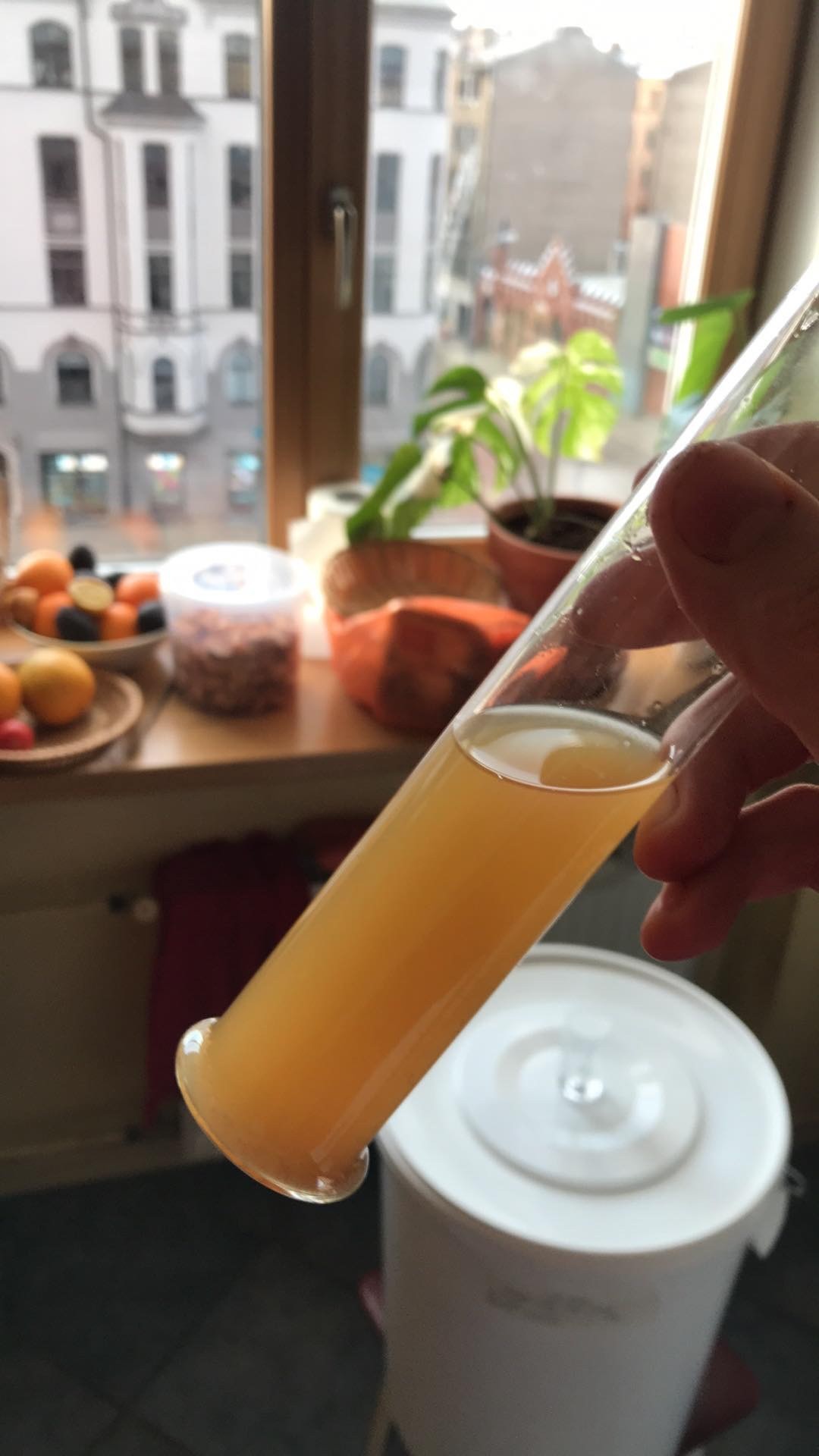 image 7c5775ac-bea5-4d6d-8c07-3fe4b8f413ee.jpeg