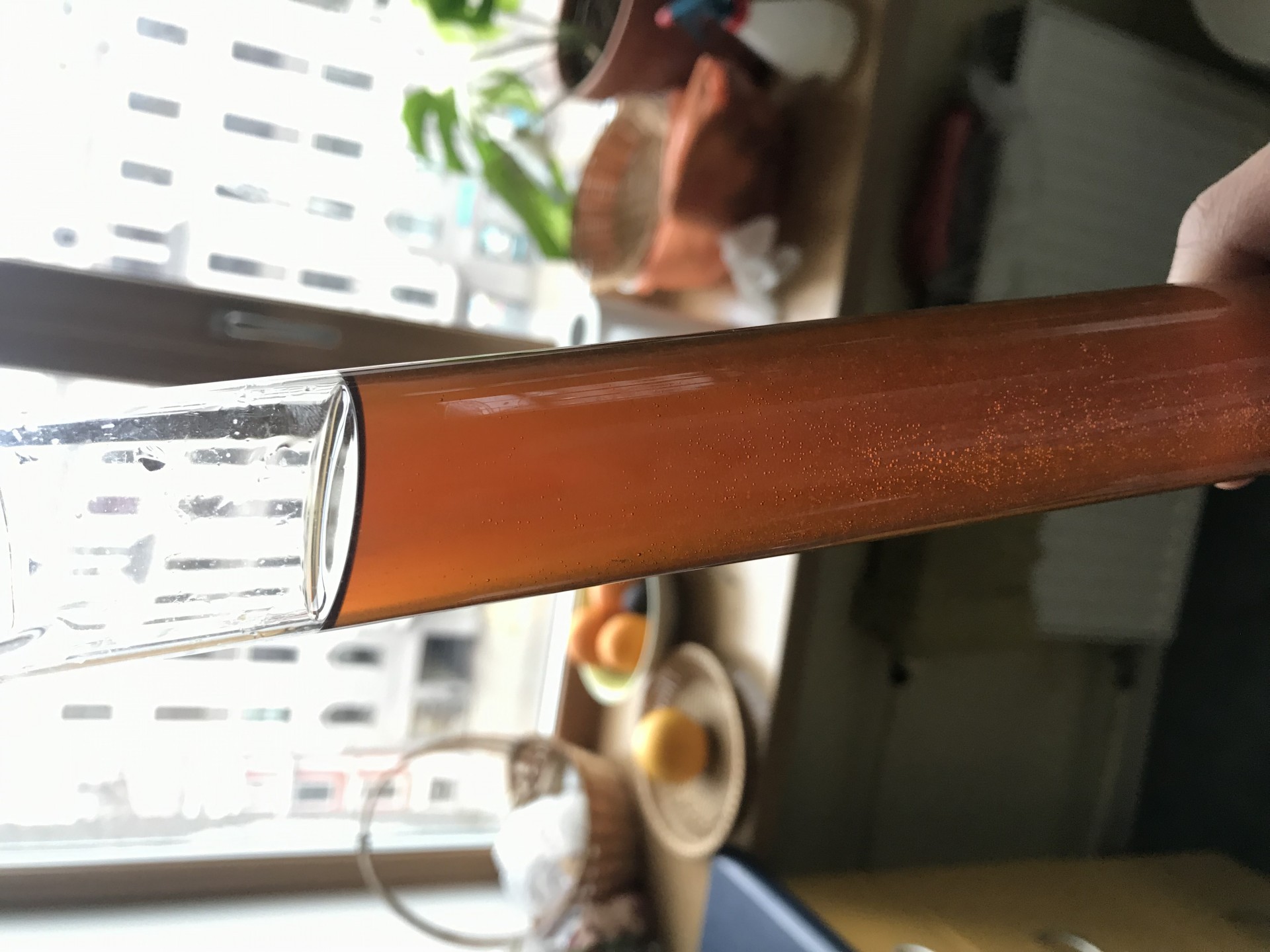 image ef32453b-1d93-482a-a86e-3f992ef29cf4.jpeg