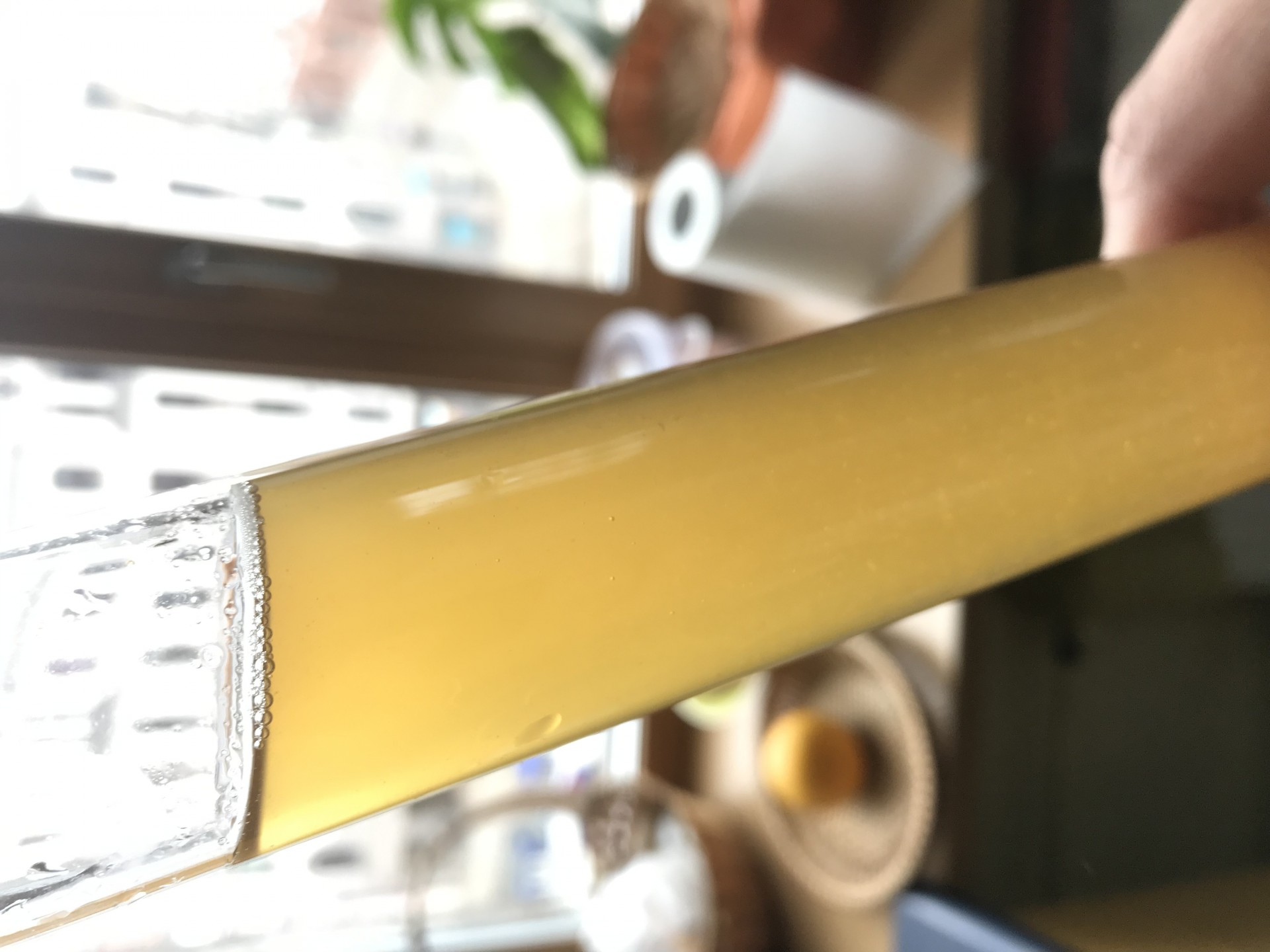 image b46e78bf-7e37-4979-8a73-5730f30c3b62.jpeg