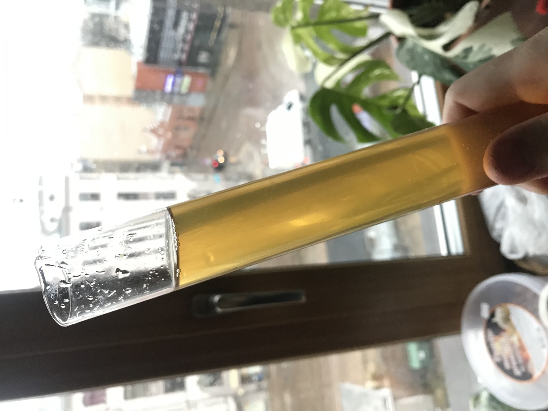 image df4a4995-0727-45cd-90bd-42f183ef8866.jpeg