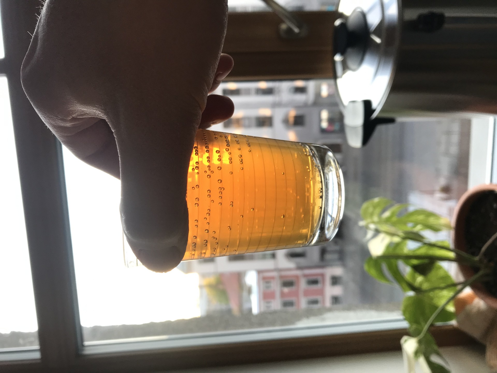 image 5613ee30-7f35-46ee-920f-c23d27280614.jpeg