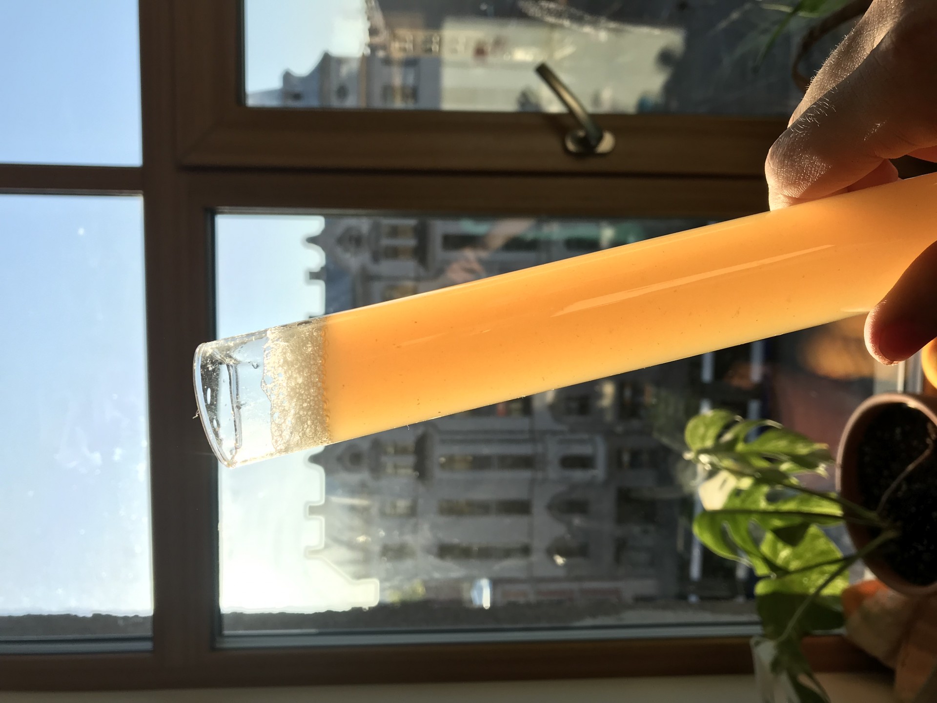 image 661ca9df-4653-4df7-90b9-0222bcd4f362.jpeg