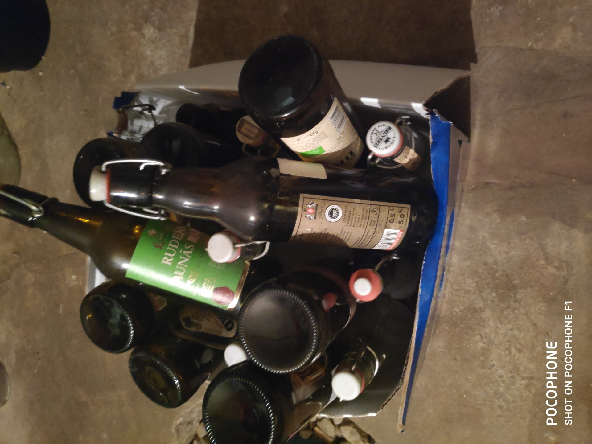 image img-20200618-105936.jpeg