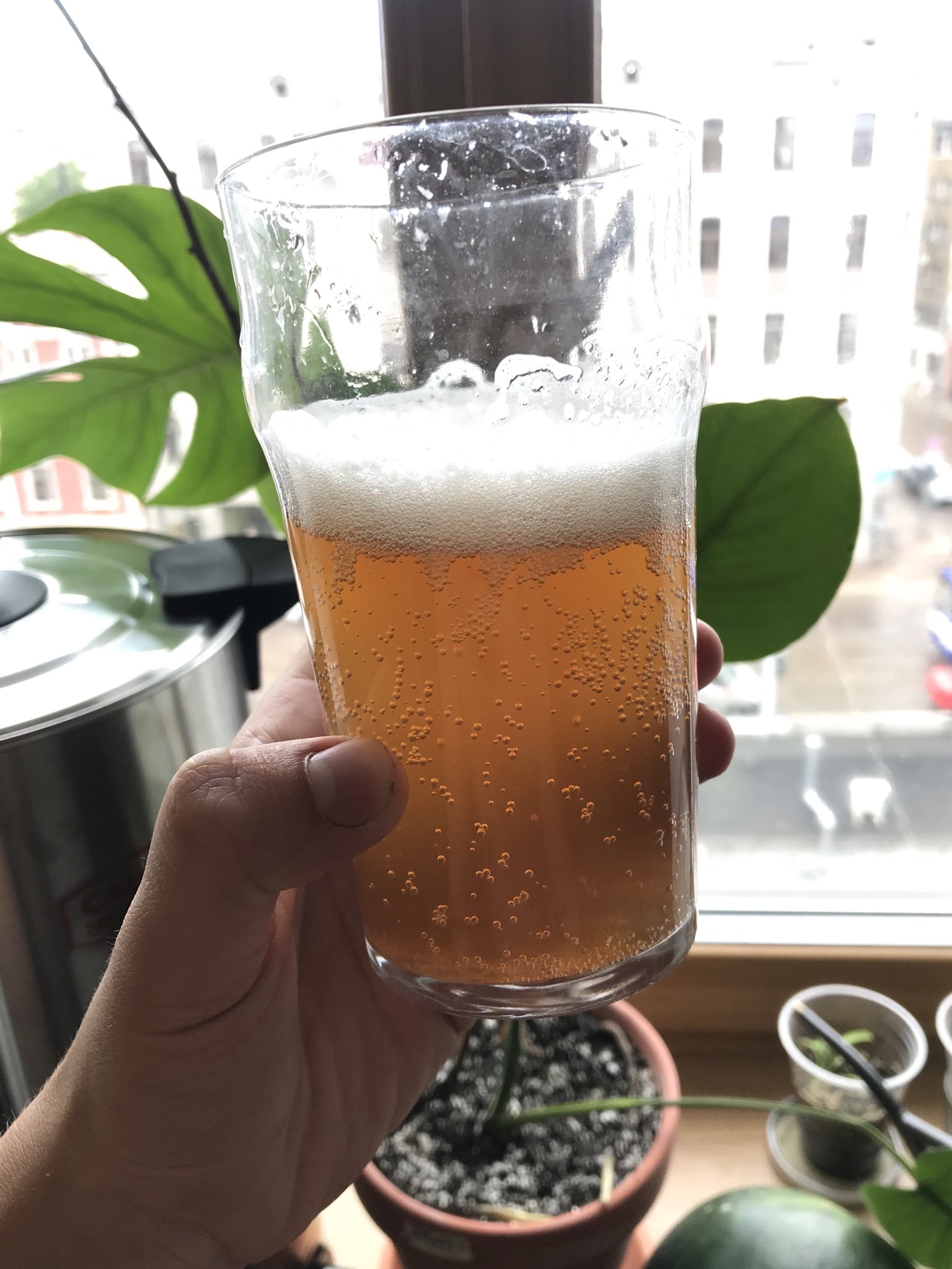 image 2bb9044c-6dea-4159-af09-1fd1becda758.jpeg