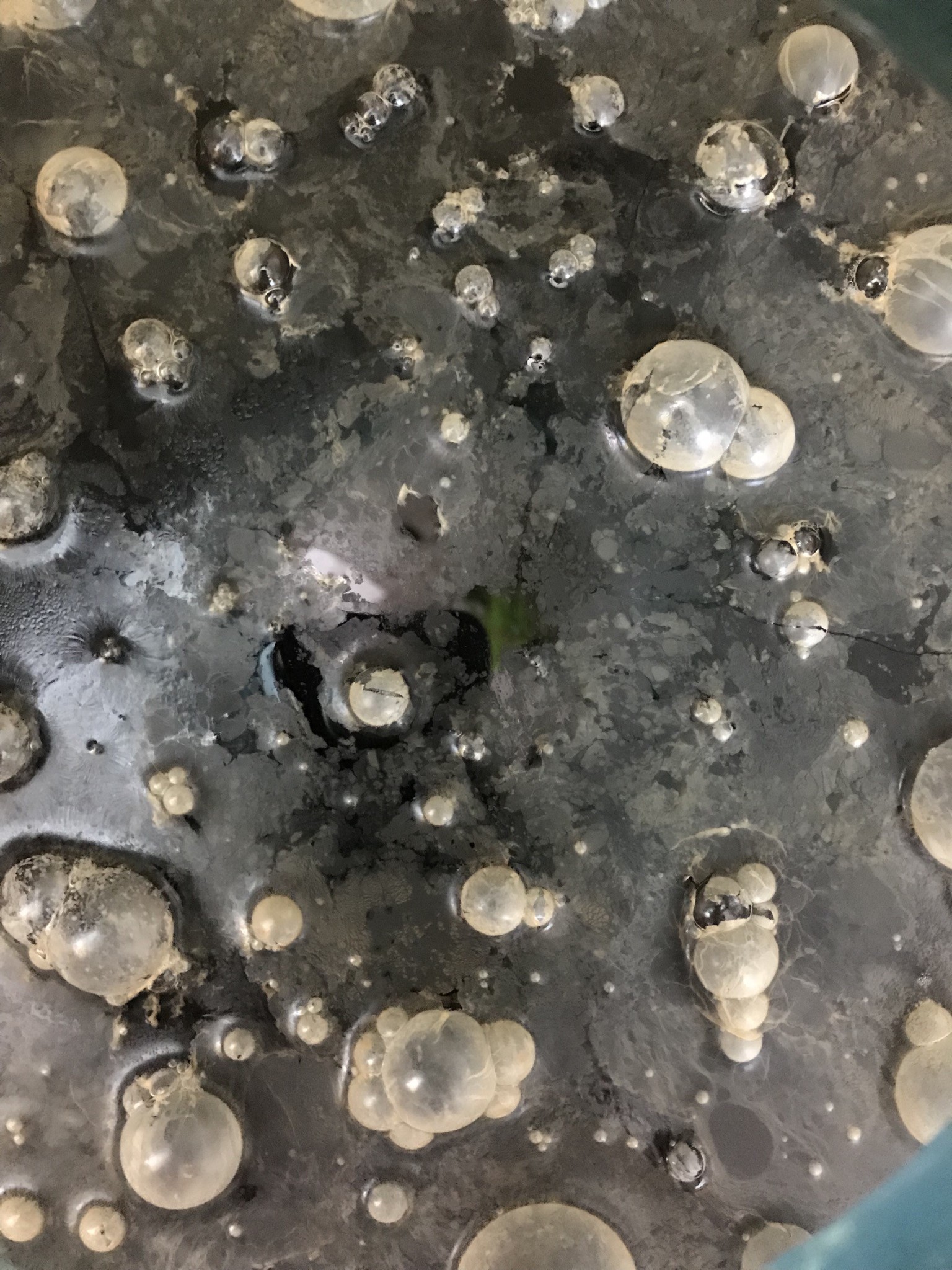 image 467cc241-611b-4620-bbf9-1237cac82f6b.jpeg