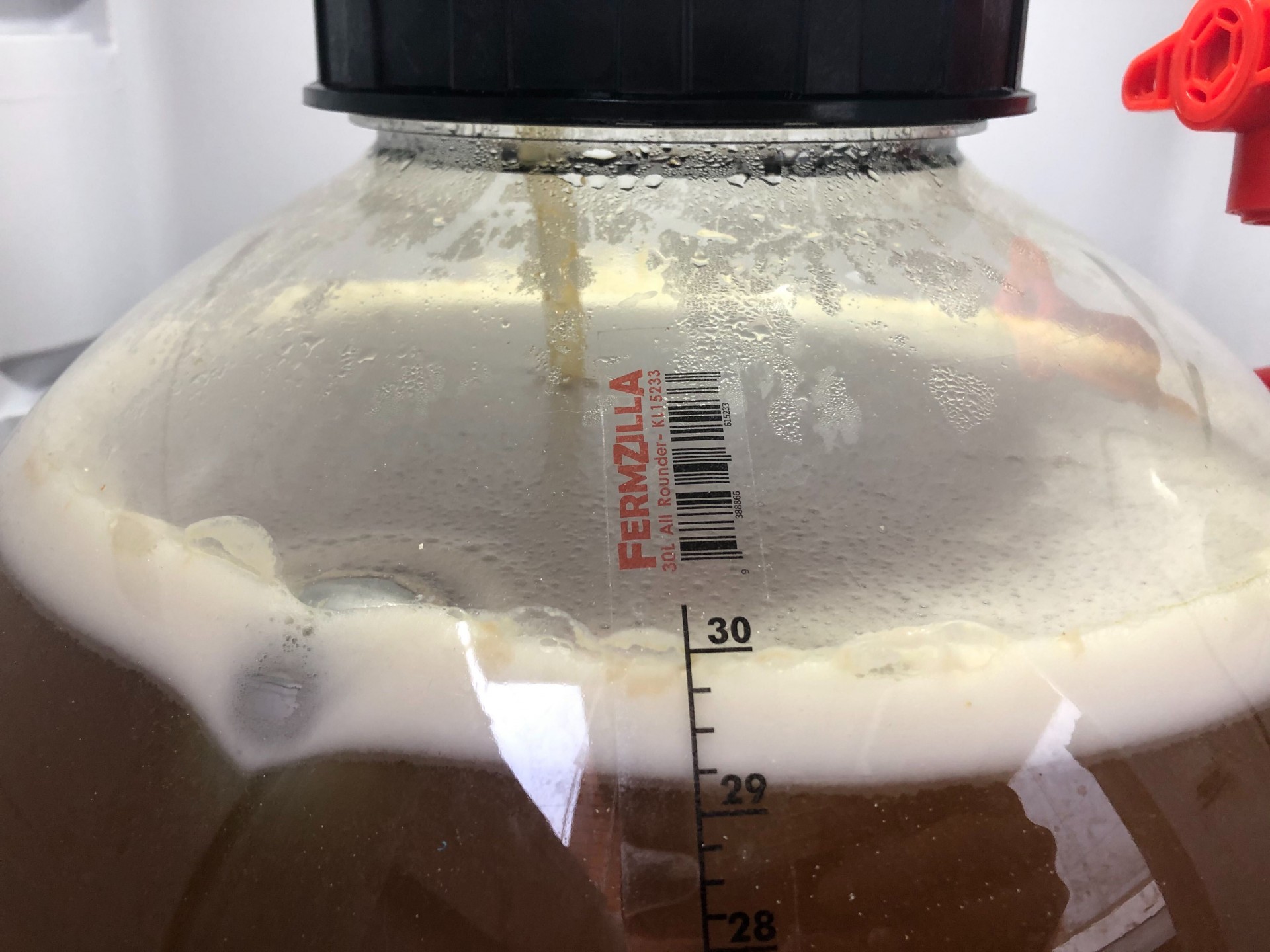 image image-from-ios.jpeg