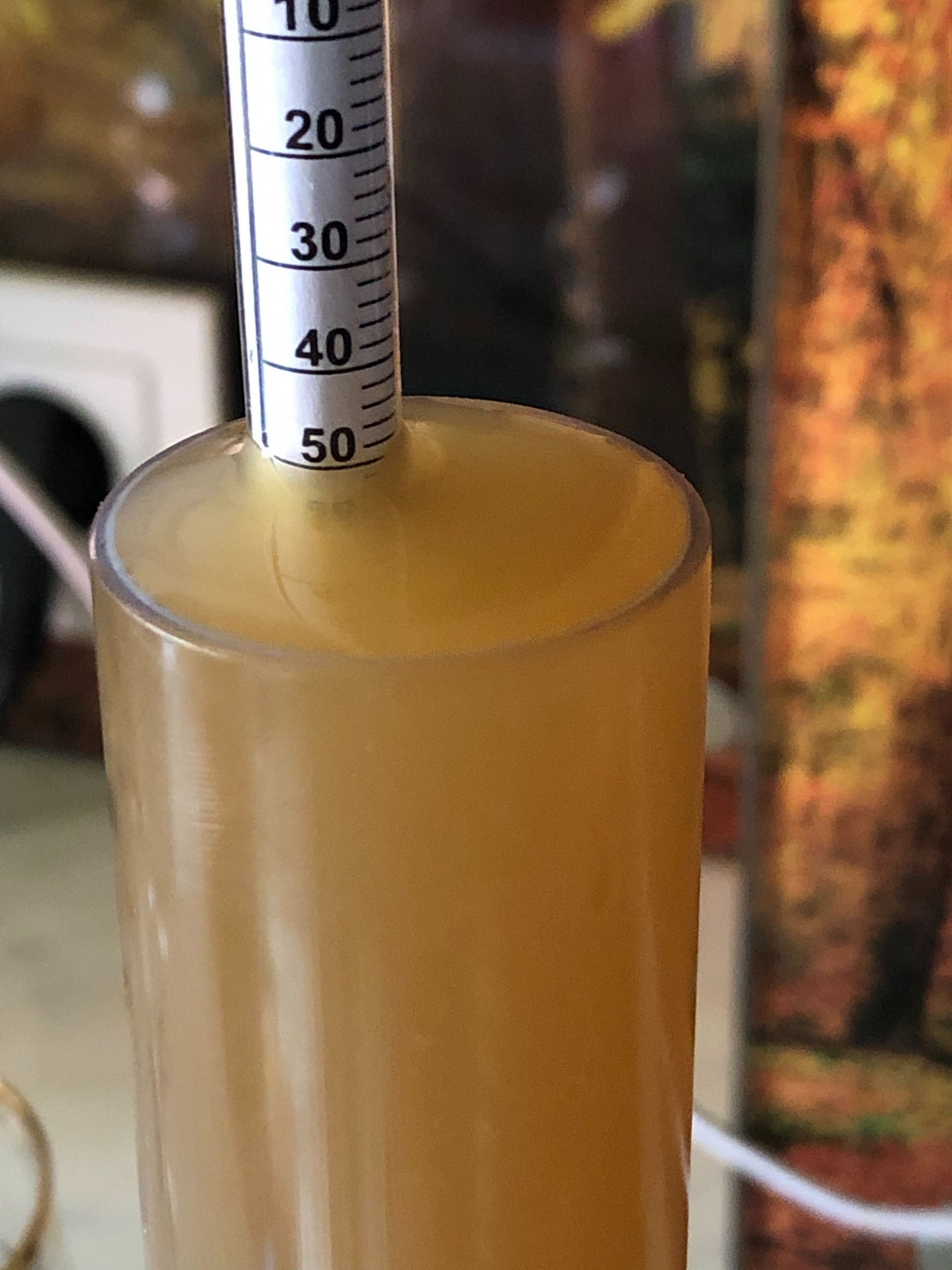 image image-from-ios-3.jpeg