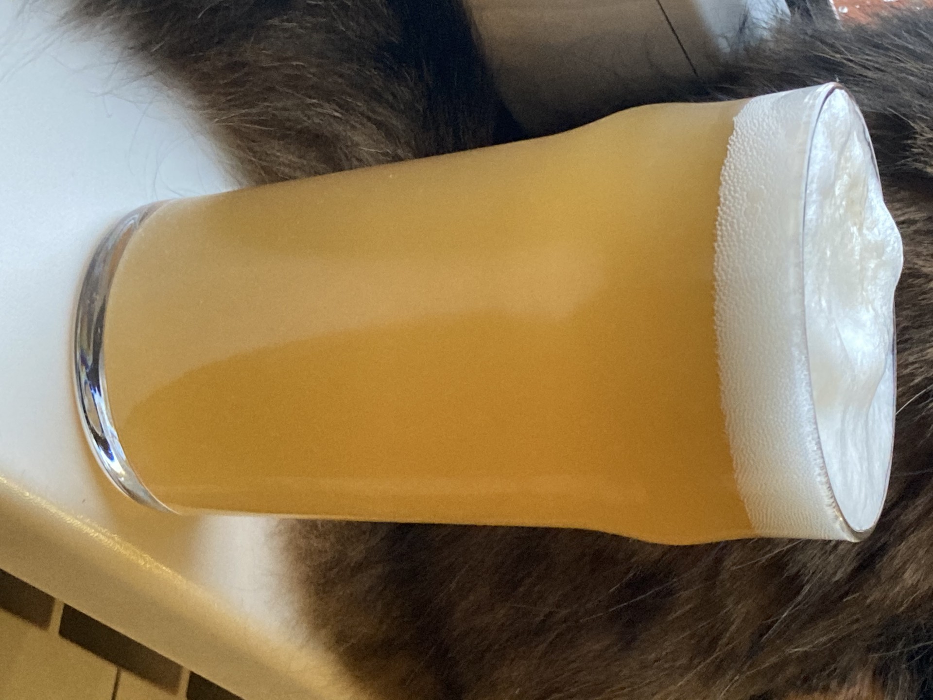 image 6ed10f08-07a8-47f3-9eb7-17966ee39e60.jpeg