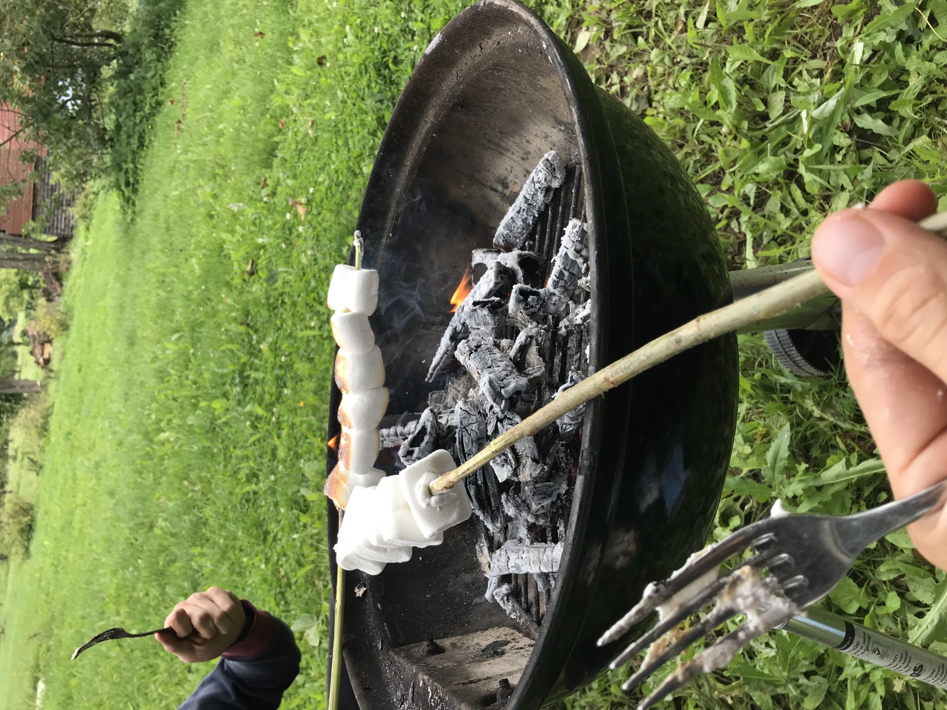 image 3b5e863e-e6cb-4c63-935c-847b5c043801.jpeg