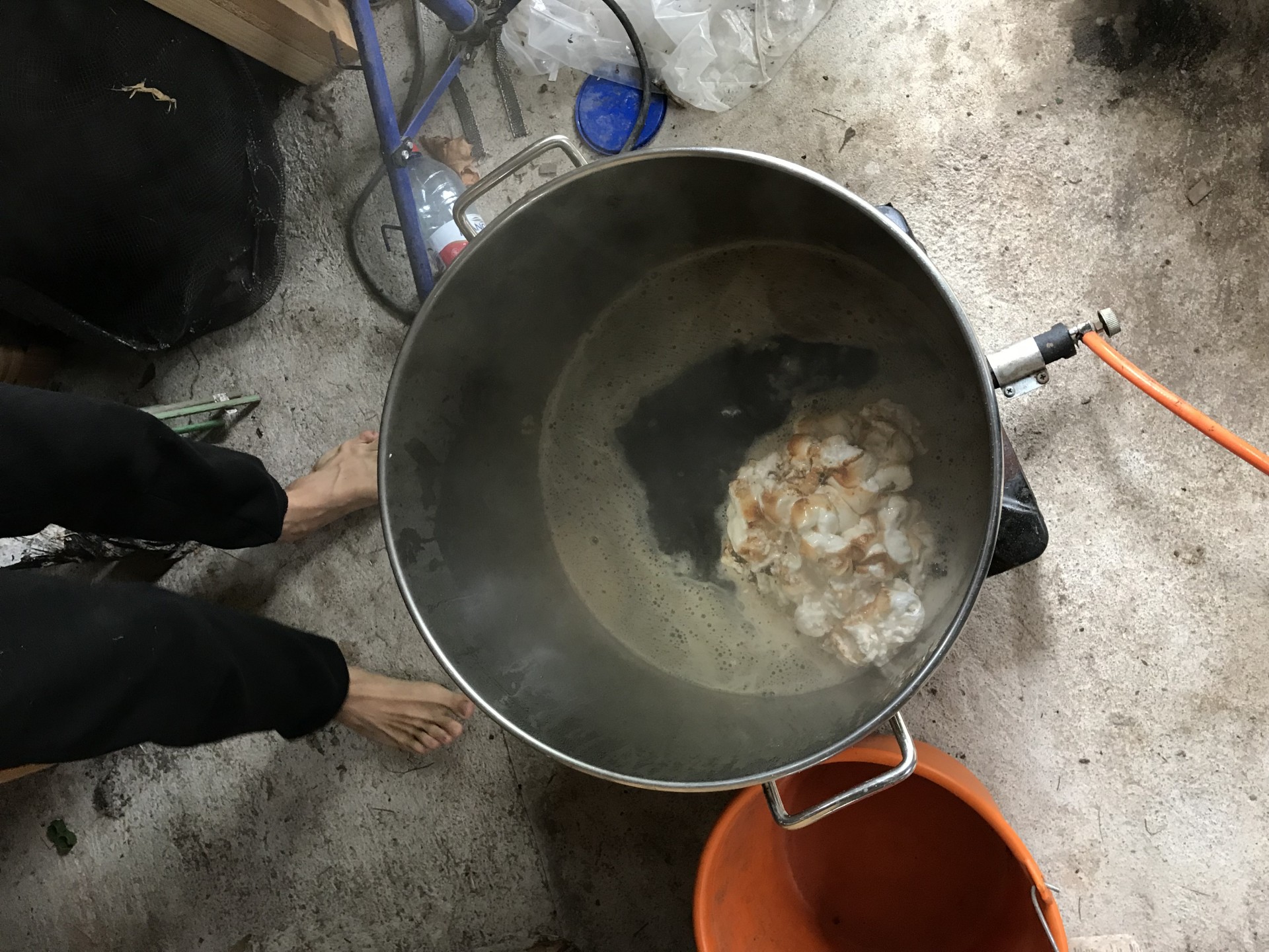 image 4410c4e7-f467-4dd9-bc54-721109b2c7a8.jpeg